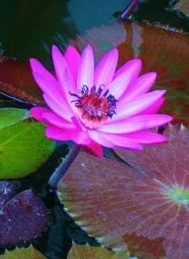 webiteimage-7 - Copy